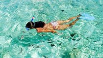 Coral Island by Speed boat from Phuket