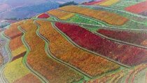 Douro Valley Premium with wine tasting lunch and boat