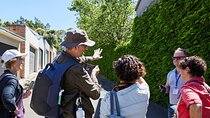 Phone Photography workshop in Sydney - Explore historic Balmain.