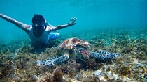 Cancun & Yucatan: See & Experience ALL in 7 Days, 1st Class Tours