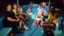 Luminous Lagoon Glistening Water Tour From Ocho Rios And Runaway Bay Hotels