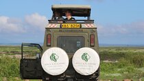 3-Day Amboseli National Reserve Safari from Nairobi