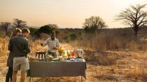 5-Day Lakes and Masai Mara Plains 4 x 4 Safari