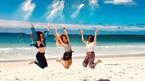 Jervis Bay & Dolphins Cruise - One Day Tour