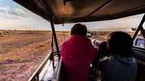 10 -Days Best of Kenya and Tanzania Classic Safari