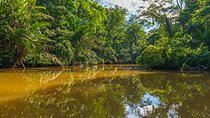Shore Excursion: Caribbean Highlights Tour from Limon