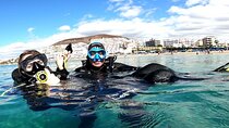 Discover the underwater world PHOTO AND VIDEO for free