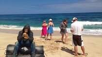 'Lost' and Movie Tour