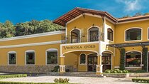 Wine Tour in São Roque by car - tour with local guides