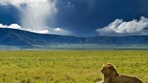 3 Day Sharing Safari - Manyara, Ngorongoro Crater and Tarangire National Parks
