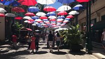 Mauritius full day : Private north tour 