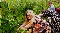 Cape town - Unique Private wine tour Blend & bottle own wine