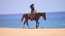 Horseback Adventures 