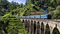Customized 11-Day Flexible Sri Lanka Tour with Private Car