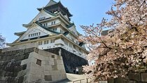 Full-Day Private Guided Tour to Osaka Castle
