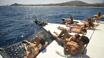 2 Hour Sunset Tour on Catamaran in Cabo San Lucas