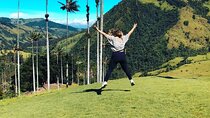 Salento Valle del Cocora and Filandia