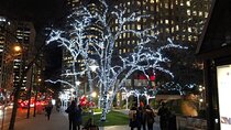 Vancouver Christmas Light Tour private