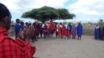 5 Days Safari to Serengeti, Ngorongoro, Tarangire from Arusha