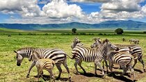 Arusha National Park Day Trip from Arusha