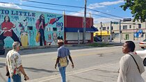 La Perle De Miami: Little Haiti Tour