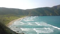Tayrona Park & Playa Cristal - Transportation Only