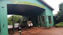  5-Day Private Classic Safari Tour of Ngorongoro and Serengeti