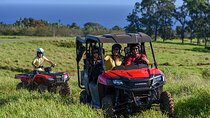Umauma Falls Deluxe ATV Waterfall and Swim Experience