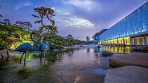 5-Hour Self-Guided Layover Tour to Luo Hong Art Museum with Peking Duck Option