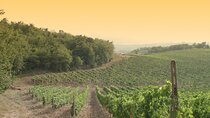 Luxury Chianti Tour