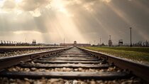 Auschwitz-Birkenau Memorial and Museum Guided Tour - Private Transport