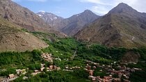 Hiking and summiting the Atlas Mountains day trip from Marrakech 