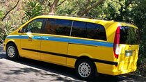 Minibus Transfer: Funchal - Madeira Airport