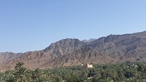 Fujairah Private City Tour From Dubai with Transfer