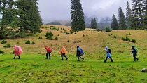 Pestera and Magura Full-Day Private Walking Tour from Brasov