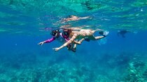 Big Island Snorkel Cruise from Waikoloa