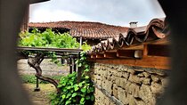 8-Day Private Tour Highlights of Bulgaria