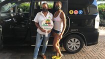 Kingston TOUR/AIRPORT (GROUP)Transportation Only 