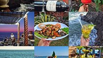 San Diego >>Valley of Guadalupe/four fours vineyard/sky winery