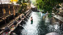 Private Shore Excursion: Highlights of Bali