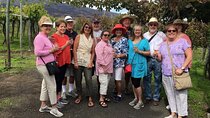 Pompeii, Herculaneum and Wine on Vesuvius with an Archaeologist