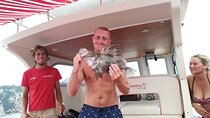 Fishing tour in Capri with lunch on board (semi-private)