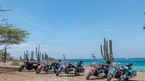 Harley-Davidson RENTALS ONLY 4 hrs
