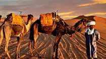 merzouga luxruy camp 