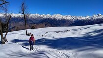 5 Days Kedarkantha Trek