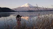 Mt. Fuji and Lake Kawaguchi Day Trip with Private Car