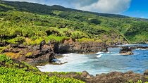 Road to Hana Private Tour with Local Guide