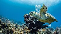 PADI Open Water Diver Course in Playa del Carmen