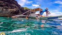 Moalboal Island Hopping (Pescador Island, Sardines and Turtles)