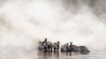 7-Day Group to Maasai Mara, Lake Naivasha, Amboseli from Nairobi